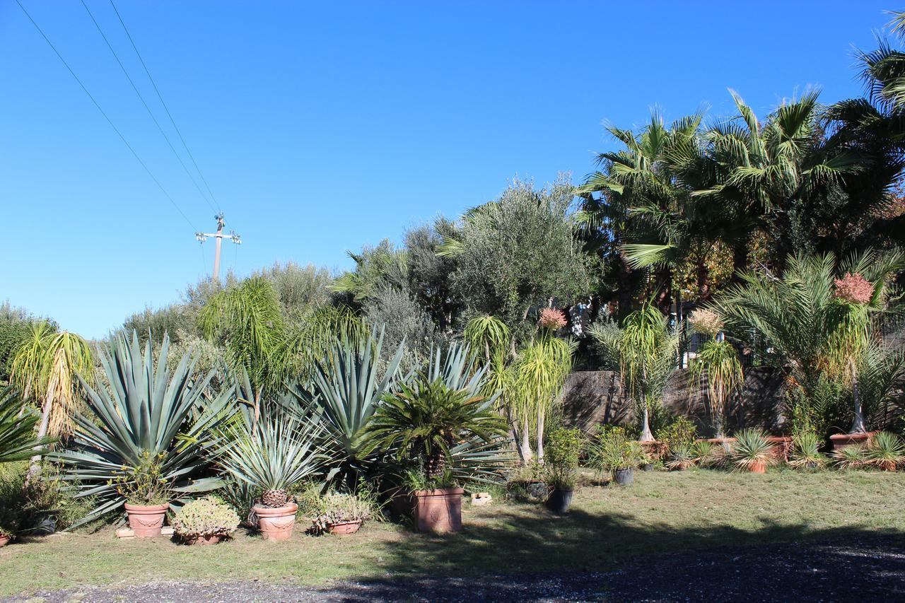 Residence Serrone Santa Maria di Castellabate Luaran gambar